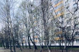 1-к. квартира, 32,9 м², 4/9 эт.