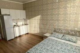 Квартира-студия, 24 м², 14/16 эт.