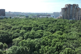 Квартира с видом на парк