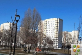 Недвижимость Квартиры / Студия, 19.1 м², 1/9 эт.